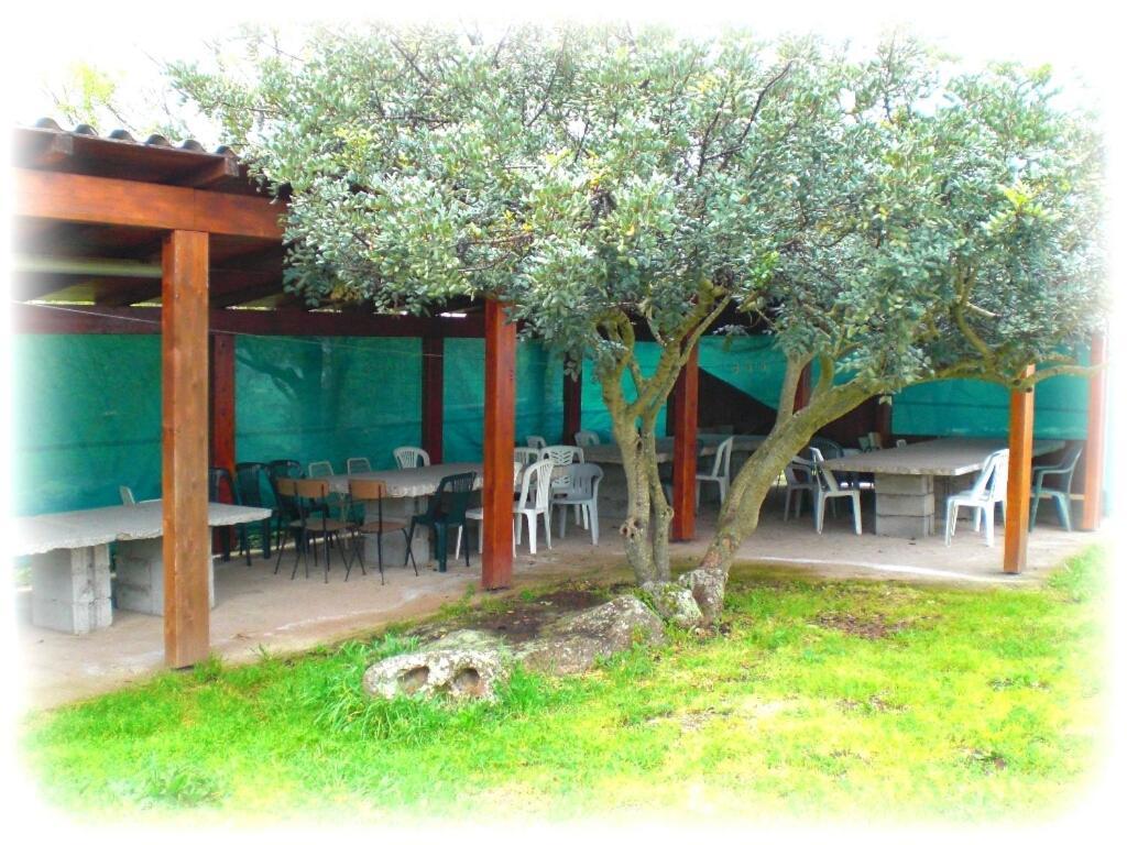 Agriturismo Pentuma Farm stay *